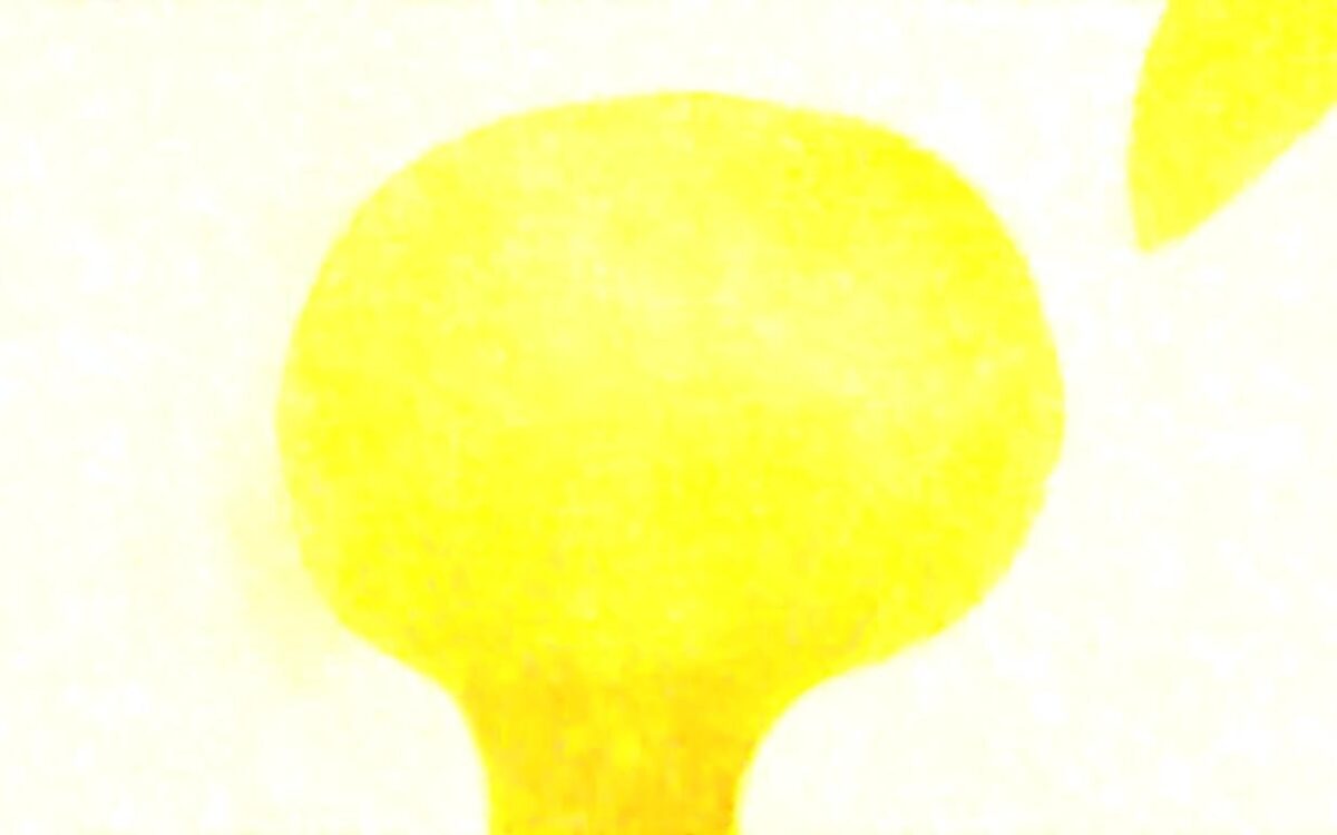 - 67ee1e1ad7b89